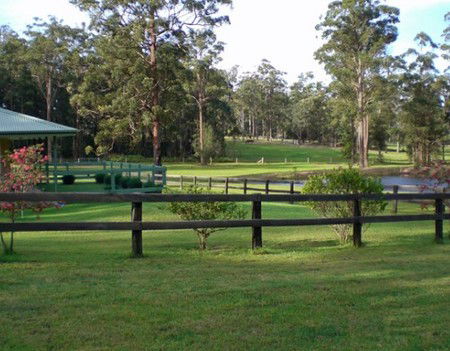Neds Bed Horse O Tel - Foster Accommodation 2