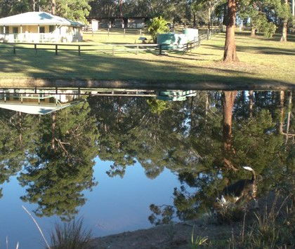Neds Bed Horse O Tel - Foster Accommodation 4