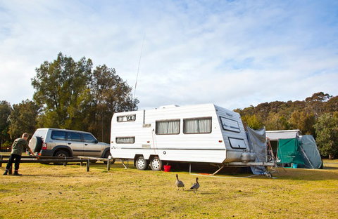 Murramarang Ecotourism Resort Eco Point - Foster Accommodation 5