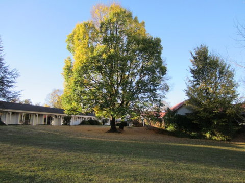 Moore Park Inn - Foster Accommodation 0