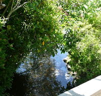 Mole Creek Hotel - Foster Accommodation