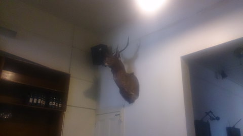 Union Hotel - Foster Accommodation 0