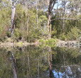 Sanctuary House Resort Motel - Healesville - Foster Accommodation 5