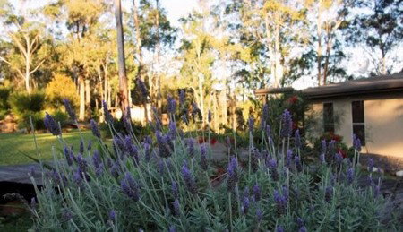 Wild Edge Retreat - Foster Accommodation 2