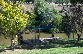 Colonial Inn Tamworth - Foster Accommodation 3