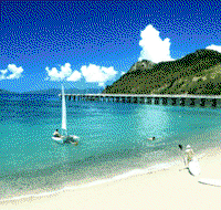 Adventure Island Whitsundays south Molle Island - Foster Accommodation