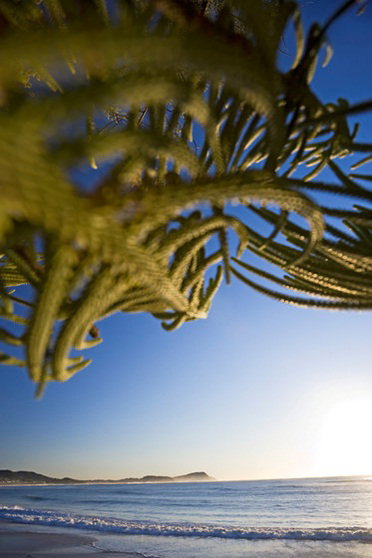 Terrigal Sails Serviced Apartments - Foster Accommodation 5