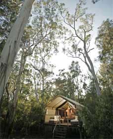 Paperbark Camp - Foster Accommodation 0