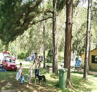 Glasshouse Mountains Holiday Village - Foster Accommodation