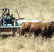 Bullo River Station - Foster Accommodation