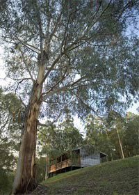 Ada VIC Foster Accommodation