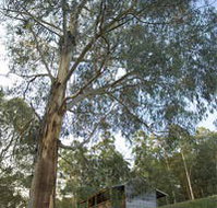 Outpost Restaurant - Foster Accommodation