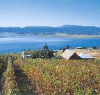 Marions Vineyard  - Foster Accommodation
