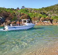 Hat Head Holiday Park - Foster Accommodation