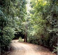 Mt Glorious Getaway Cottages And Conference Centre - Foster Accommodation