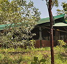 Arnhemland Barramundi Nature Lodge - Foster Accommodation