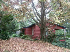 Turkeys Nest Rainforest Cottage - Foster Accommodation 0