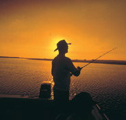 Point Stuart Wilderness Lodge - Foster Accommodation
