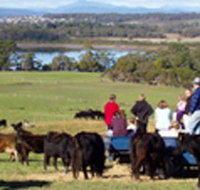 Bonny Brae - Foster Accommodation