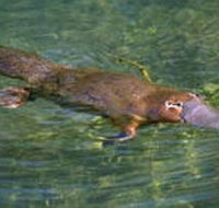 Eilean Donan Gardens - Foster Accommodation