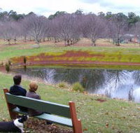 Chestnut Glade - Foster Accommodation