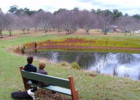 Chestnut Glade - Foster Accommodation 0