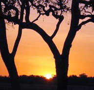 Coodardie Station Stay - Foster Accommodation