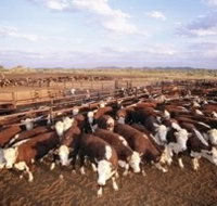 Bond Springs Outback Retreat - Foster Accommodation