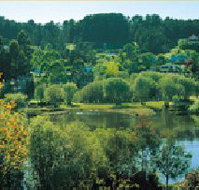 Possum Cottage On The Lake - Foster Accommodation