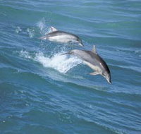 Seachange - Foster Accommodation