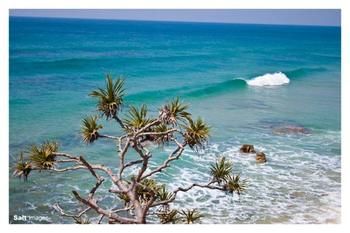 Pacific Horizons Resort - Foster Accommodation 24