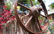 Bendles Cottages And Country Villas - thumb 27