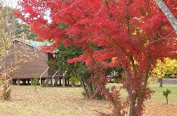 Madison's Mountain Retreat - Foster Accommodation 1