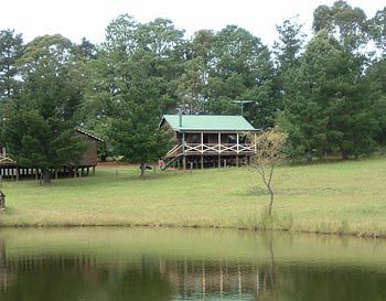 Madison's Mountain Retreat - Foster Accommodation 2
