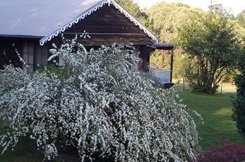 Madison's Mountain Retreat - Foster Accommodation 3