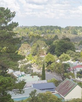 Katoomba Mountain Lodge - Foster Accommodation 1
