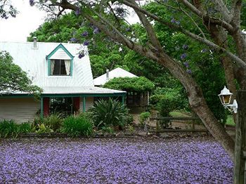 The African Cottage - Foster Accommodation 6