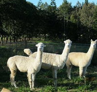 Blackwattle Farm BampB and Farm Stay - Foster Accommodation