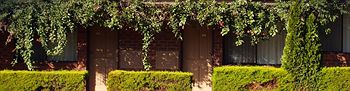 Nunawading Motor Inn - Foster Accommodation 30