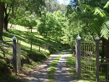 Brentwood Accommodation - Foster Accommodation 1