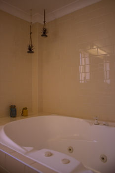 Shearing Shed Motor Inn - Foster Accommodation 14