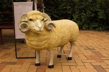 Shearing Shed Motor Inn - Foster Accommodation 49