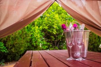 Shearing Shed Motor Inn - Foster Accommodation 51