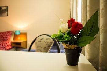 Shearing Shed Motor Inn - Foster Accommodation 54