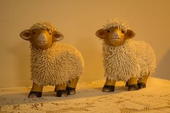 Shearing Shed Motor Inn - Foster Accommodation 64