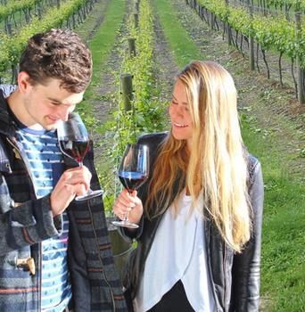 Valley Farm Vineyard Cottages - Foster Accommodation 0