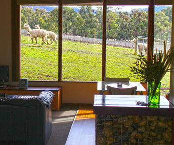 Valley Farm Vineyard Cottages - Foster Accommodation 17