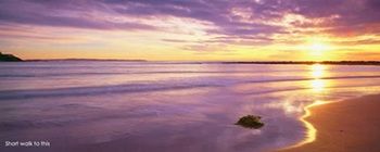 Kims Beachside Lodges - Foster Accommodation 22