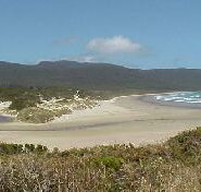 Cloudy Bay Cabin - Foster Accommodation