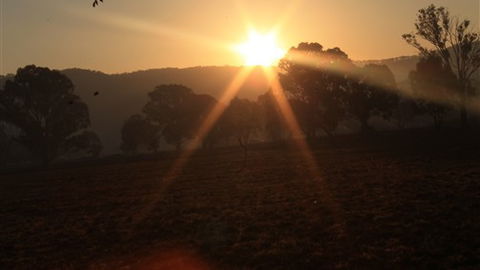 Gentle Annie Caravan And Camping Reserve - Foster Accommodation 1